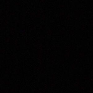 Meet your Posher, Buddy